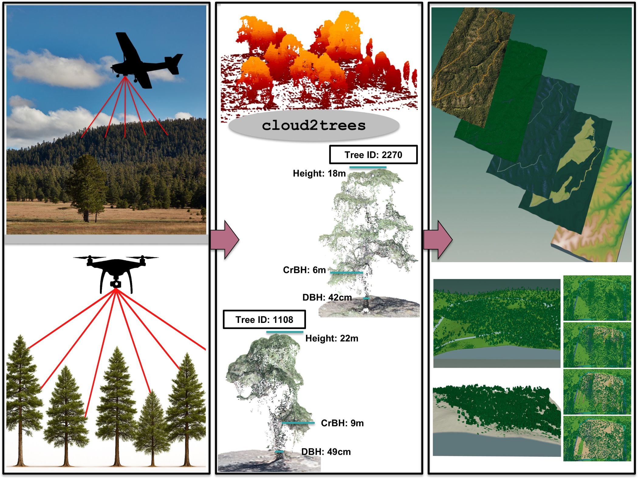 cloud2trees graphical abstract